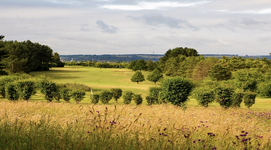 Photo of South Beds Golf Club